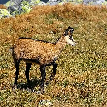 Alojamento de Acomodação e Pequeno-almoço Au Fil De L'eau Cerdon (Ain)